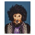 Empire Art Direct Empire Art Direct GIC-PR036-2016 High Resolution Pets Rock Giclee Printed on Cotton Canvas on Solid Wood Stretcher - Psychedelic GIC-PR036-2016
